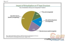 提升虚拟服务器网络性能的技术探讨